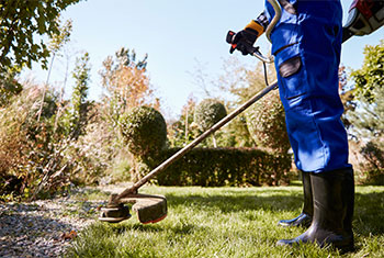 Serviços de Jardinagem